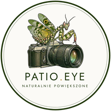 Logo PATIO.EYE — modliszka na aparacie, napis „Naturalnie powiększone”